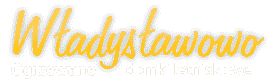  domki letniskowe- wladyslawowo.jpg